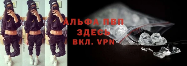 гидра Алексеевка
