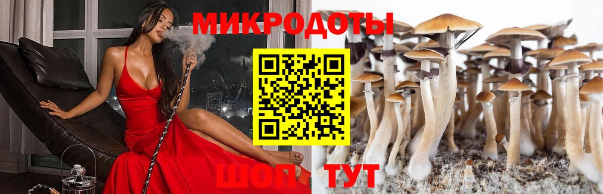 Псилоцибиновые грибы Psilocybe  Вход с VPN  Елабуга 