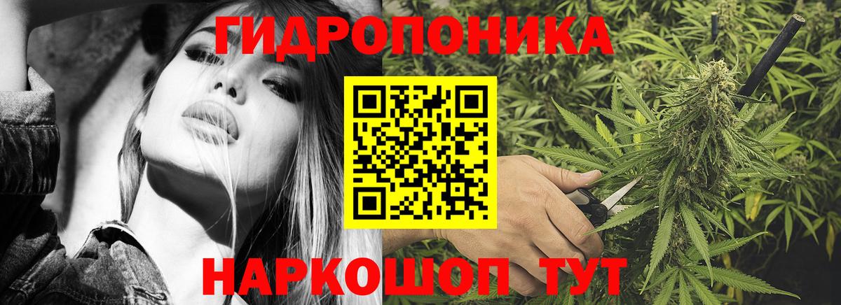 Каннабис план  Марихуана ГИДРОПОН  Вход с VPN  Елабуга  Бошки Шишки конопля 
